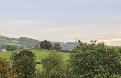 River View - Photo 11