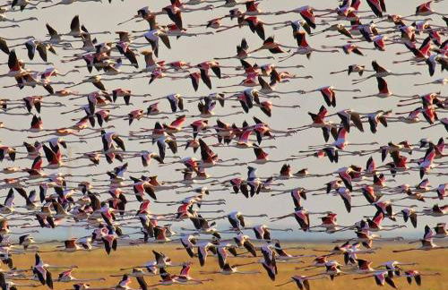 Periodista Luca de Tena, lujo y confort en pleno centro - Foto 35