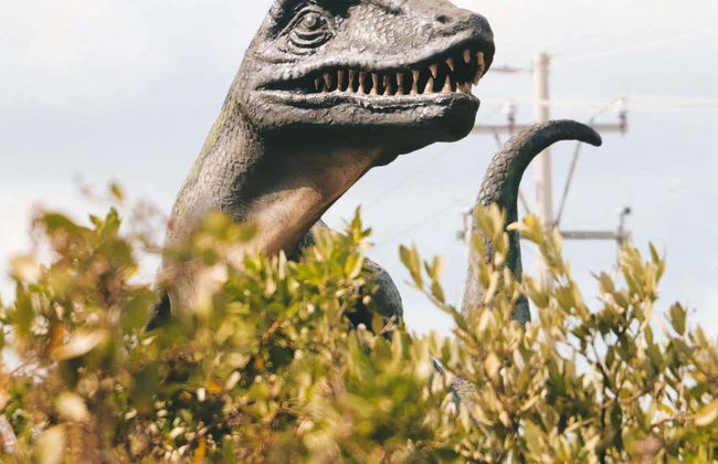 Excursion au musée des météorites et au sentier jurassique - Photo 1