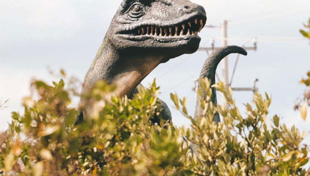 Excursion au musée des météorites et au sentier jurassique
