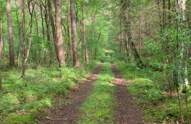 Eldenholz FeWo8 - Foto 18