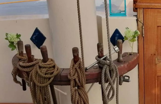 Immaculate 8-bed Cottage in Harlingen - Foto 14