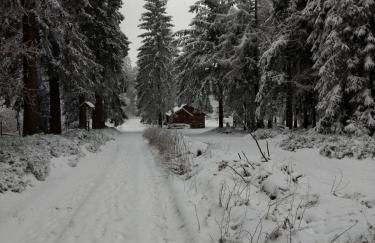 FeWo 12 45qm bis 3 Pers nahe Winterberg - Foto 18