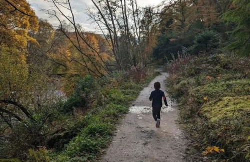 Luxurious Georgian Town House - Foto 40