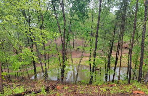 The Loft at Hebron Valley Overlook - Foto 31