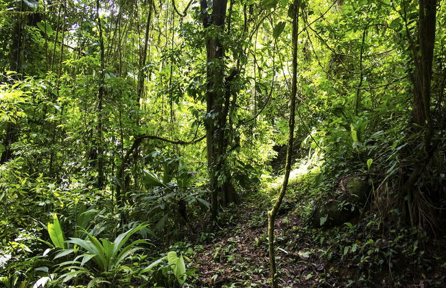 Casa Cedro - Portasol Vacation Rentals - Foto 28