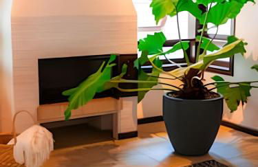 Casa VillaMar. - Foto 31