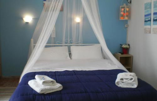 Sunrise Flora - Foto 11