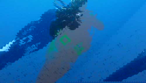 Beginner Scuba Diving - Foto 5