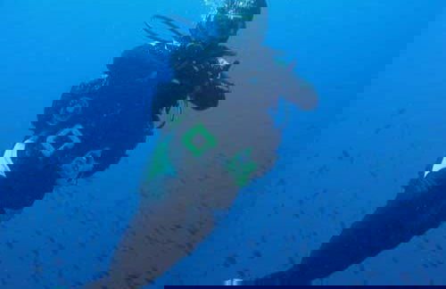 Beginner Scuba Diving - Foto 5