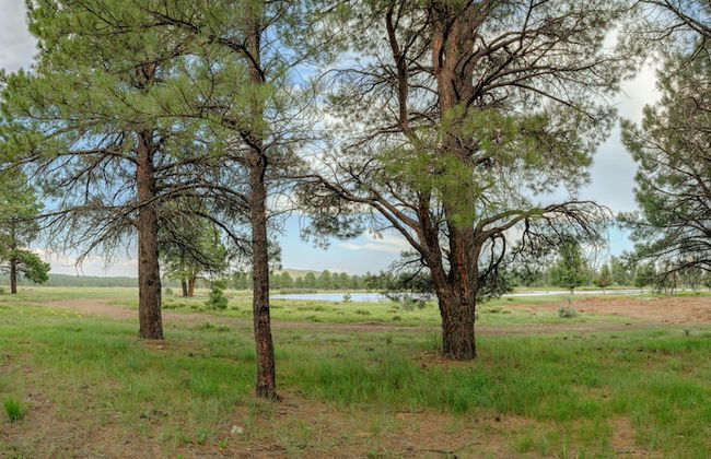 Backland Luxury Nature Resort - Grand Canyon - Foto 33