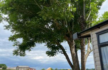 Sunnycott Caravan Park - Foto 55