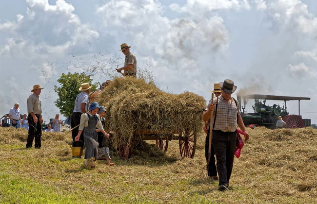 Excursión a los campos menonitas de Cuauhtémoc - Foto 1
