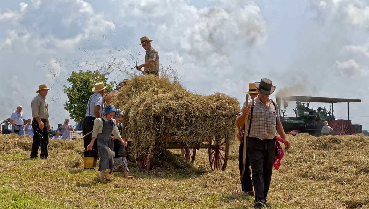 Excursión a los campos menonitas de Cuauhtémoc - Foto 1