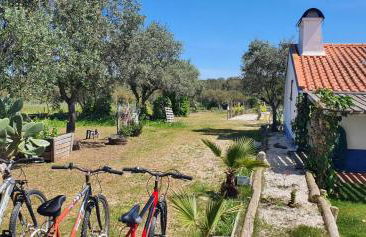 Monte das Aranhas - Foto 25