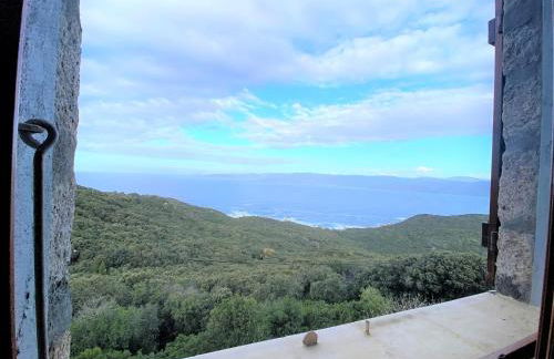 Duplex Belvédère-Campomoro, vue mer - Foto 16