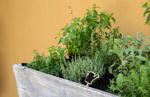 Residenza La Zagara - Foto 24