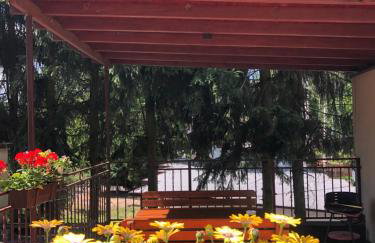 Domek pod świerkami 1 - Foto 2