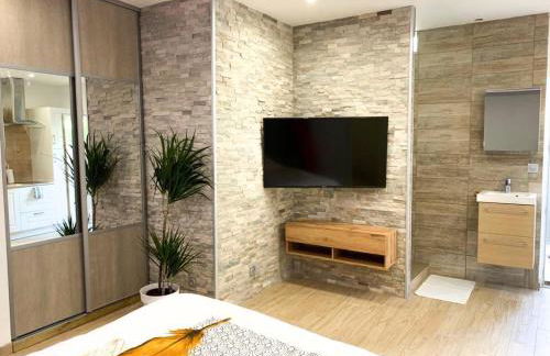 Le Menhir 2 Jacuzzi Spa Terasse Barbecue - Foto 7