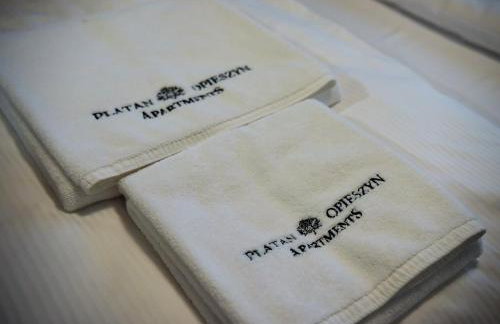 Apartamenty Platan Opieszyn 2 - Foto 29