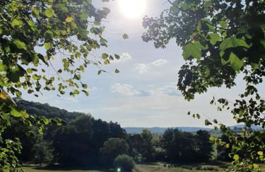 Fachwerk zum Entspannen, max. 3P - Foto 26