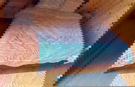 Ayvalık Sural Çiftliği Since 1899 - Foto 9