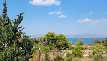 Dimitri's house - Photo 4