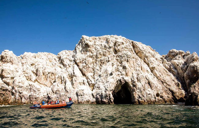 Bay of Mazatlán Speedboat Tour + Whale Museum Tickets - Foto 7