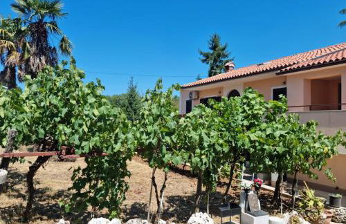 Apartment Markovic - Foto 24