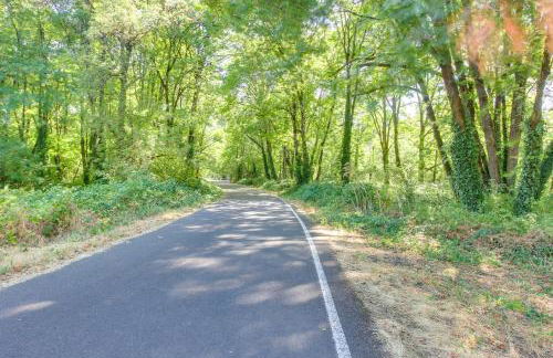 Pet-Friendly Home with Yard, 2 Mi to Autzen Stadium - Foto 28