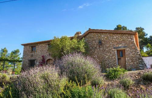 Masia Pou de la Vinya - Photo 77