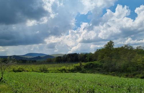 Fornace del Conte - Foto 29