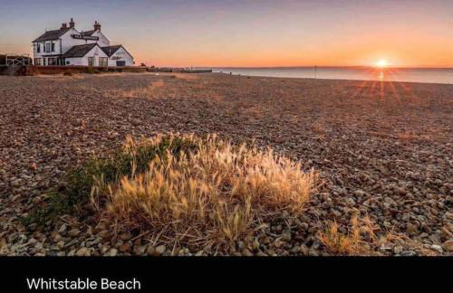 Whitstable, CW18, 2 bed park home, Alberta Holiday Park - Foto 41