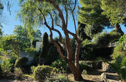 Authentique Villa le Cactus entièrement rénovée climatisée proche des plages du centre du Lavandou et du supermarché - Foto 14