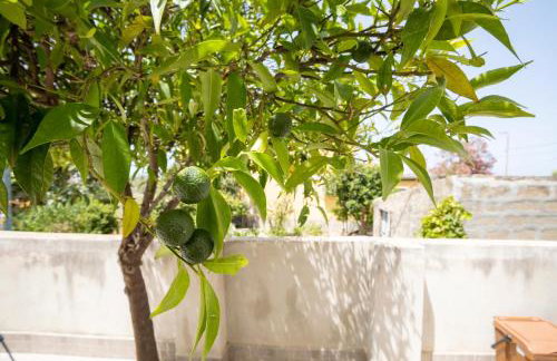 La Casuzza di Sara - Foto 5