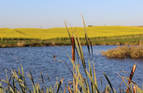 Domki Loft nad Stawem - Foto 56