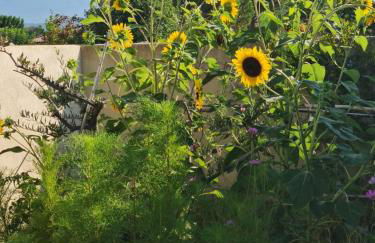 Petit gite de Provence - Foto 13