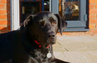 Cwm Lodge, an idyllic retreat in the heart of Herefordshire! - Photo 30