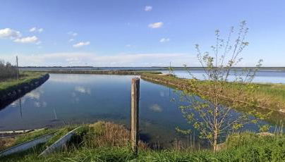 Casa Vacanze Nel Delta del Po - Foto 3