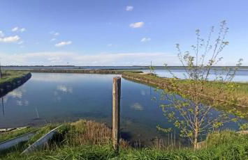 Casa Vacanze Nel Delta del Po - Foto 3