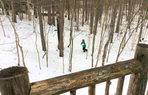 Dog-Friendly Chalet Rental near Whiteface Mountain and Lake Placid, New York - Foto 32