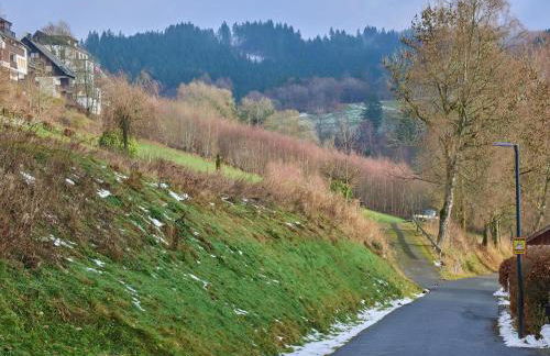 Kurhaus am Nordenau - 10 pers - Foto 73