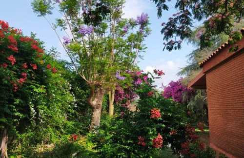 Precioso chalet próximo a Sevilla con jardín y piscina privada 8 personas Wifi gratis 2 salones 4 dormitorios 2 baños - Foto 67