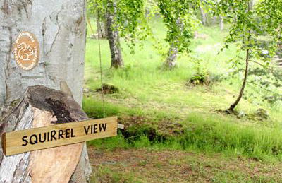 Squirrel View - Foto 10