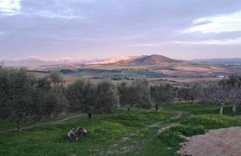 Villa Paquita - Foto 16