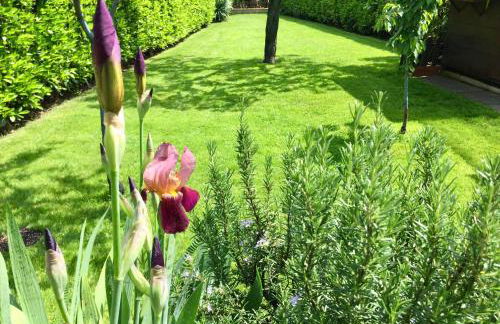 Villa "Corte de' Baldi" - Foto 36