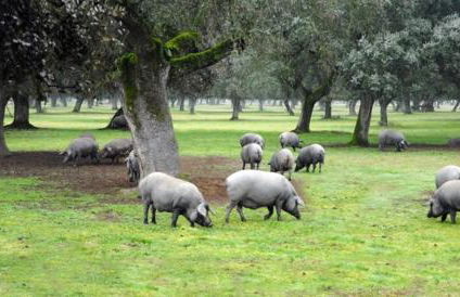 La Era de San Blas - Foto 44