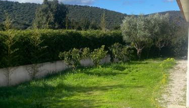 Villa proche de St Florent Corse - Foto 5, Garden