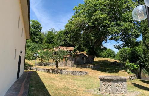 Podere Piccini with pool in Val d'Orcia-Tuscany - Foto 7