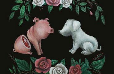 Gemütliche Gästezimmer in einem neu sanierten Fachwerkhaus - Foto 8